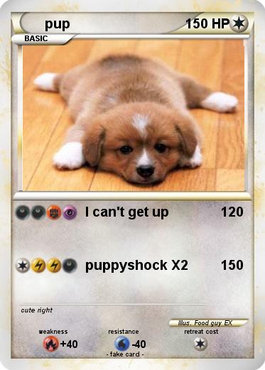 Pokemon pup