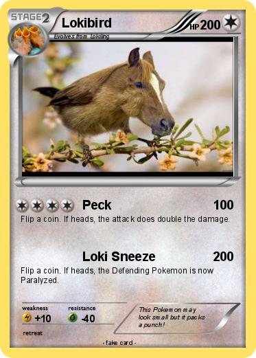 Pokemon Lokibird