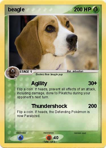 Pokemon beagle