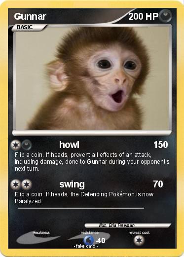 Pokemon Gunnar