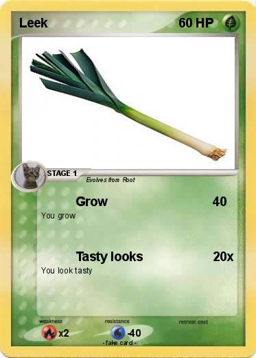 Pokemon Leek
