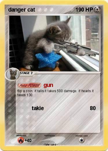 Pokemon danger cat