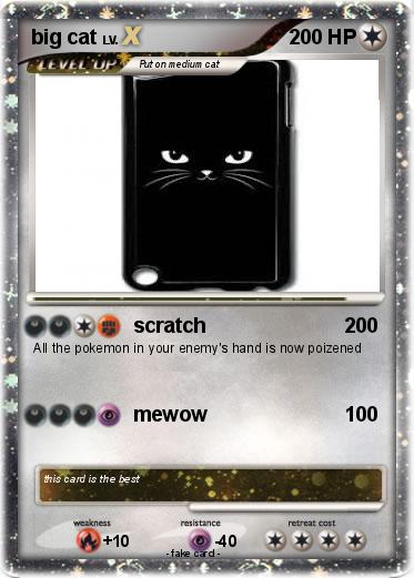 Pokemon big cat