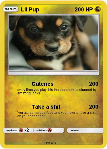 Pokemon Lil Pup
