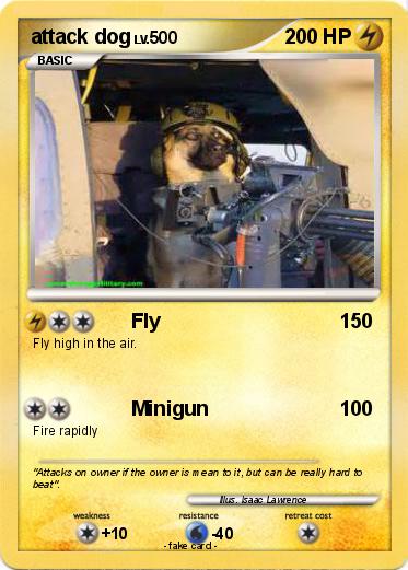 Pokemon attack dog