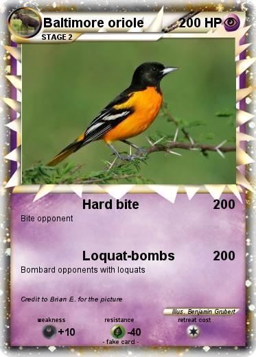 Pokemon Baltimore oriole