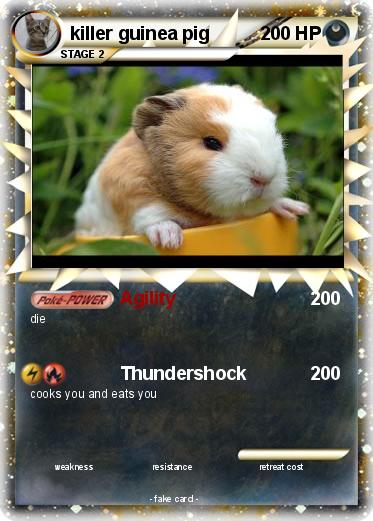 Pokemon killer guinea pig