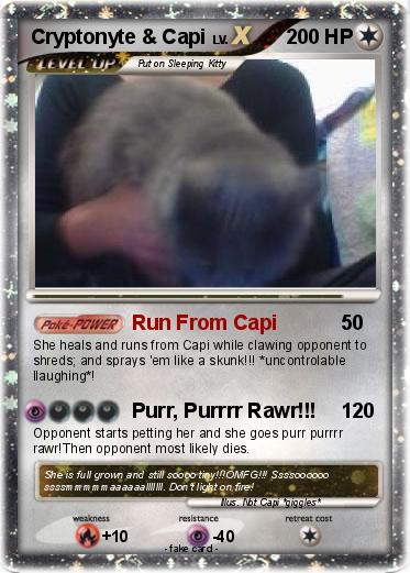 Pokemon Cryptonyte & Capi