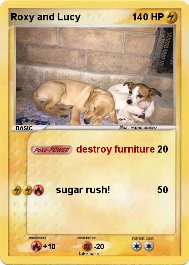 Pokemon Roxy and Lucy