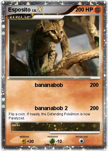 Pokemon Esposito