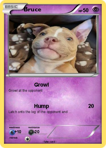 Pokemon Bruce