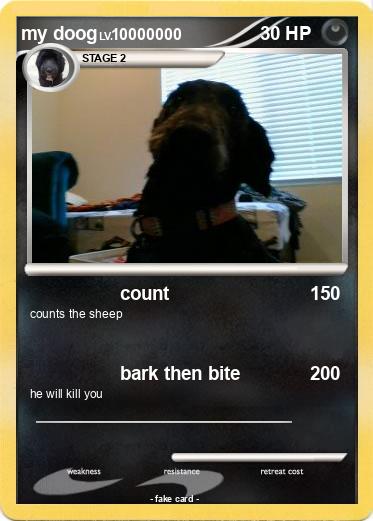 Pokemon my doog