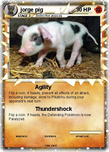 Pokemon jorge pig