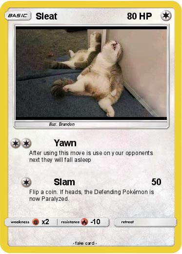 Pokemon Sleat