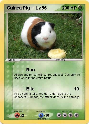 Pokemon Guinea Pig     Lv.56