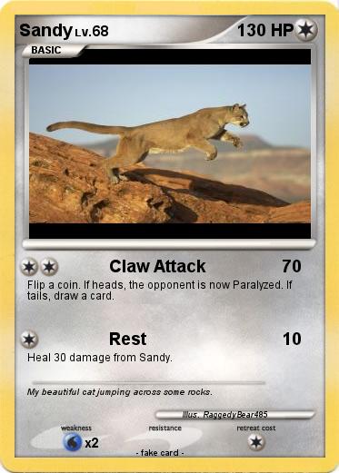 Pokemon Sandy