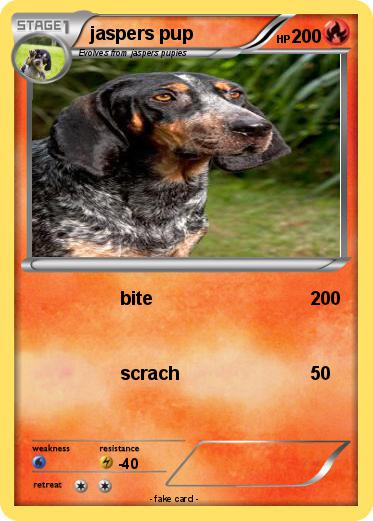 Pokemon jaspers pup