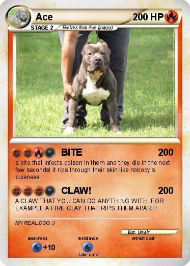 Pokemon Ace
