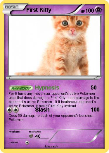 Pokemon First Kitty