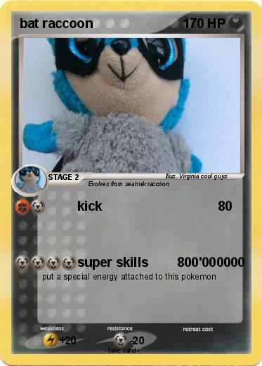 Pokemon bat raccoon