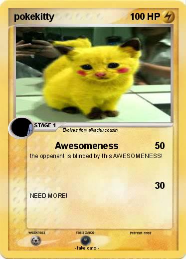 Pokemon pokekitty