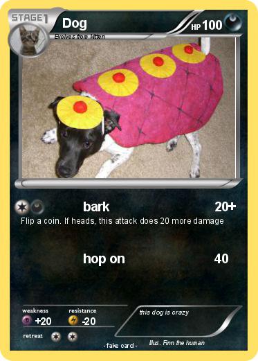 Pokemon Dog