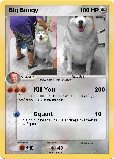 Pokemon Big Bungy