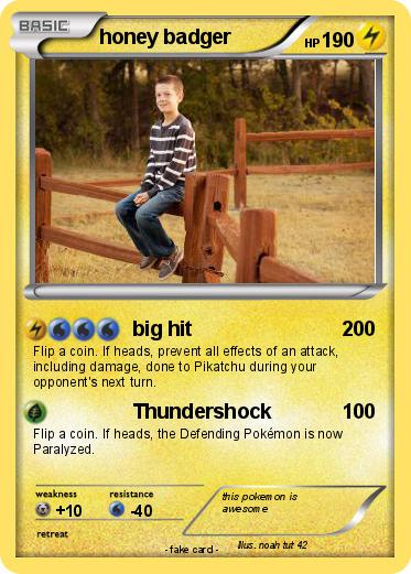 Pokemon honey badger