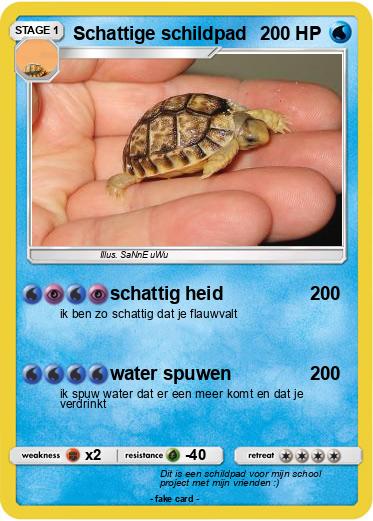 Pokemon Schattige schildpad