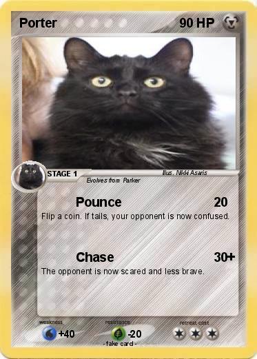 Pokemon Porter