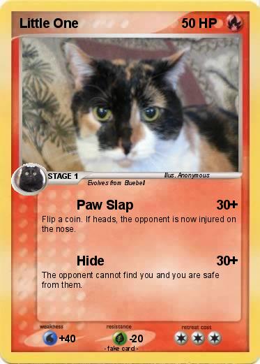 Pokemon Little One