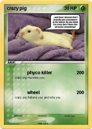 Pokemon crazy pig