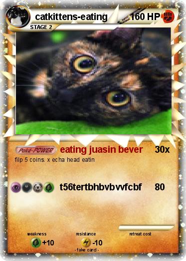 Pokemon catkittens-eating