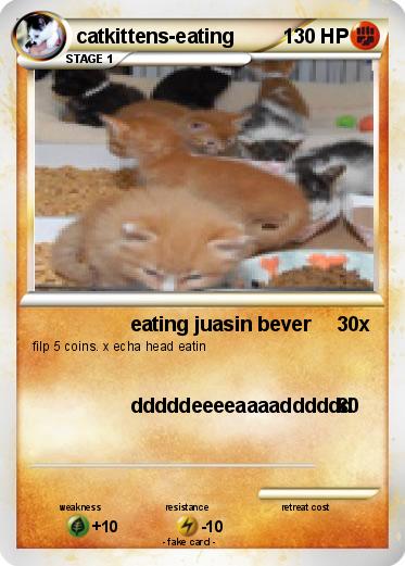 Pokemon catkittens-eating