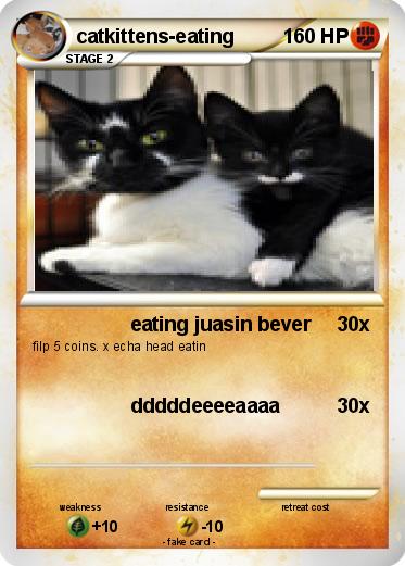 Pokemon catkittens-eating