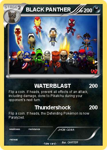 Pokemon BLACK PANTHER