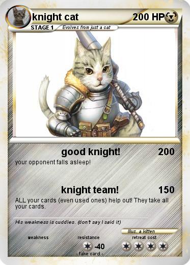 Pokemon knight cat