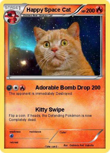 Pokemon Happy Space Cat