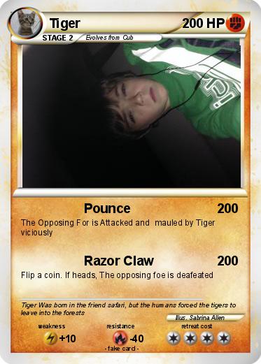 Pokemon Tiger