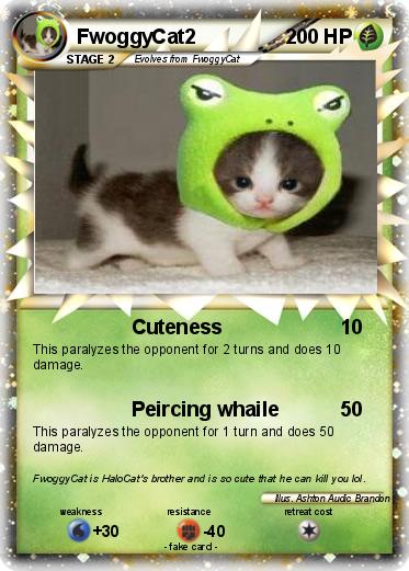 Pokemon FwoggyCat2