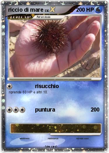 Pokemon riccio di mare
