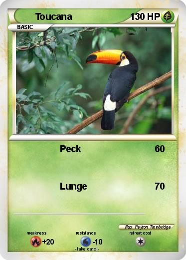 Pokemon Toucana