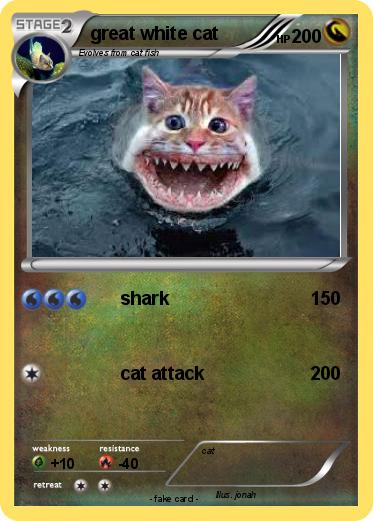 Pokemon great white cat
