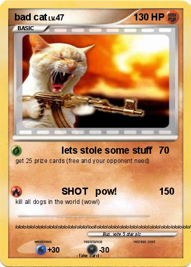 Pokemon bad cat