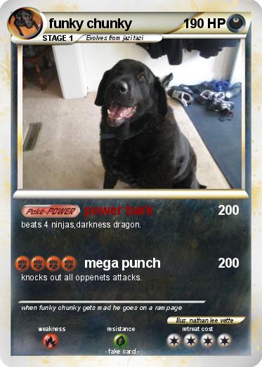 Pokemon funky chunky