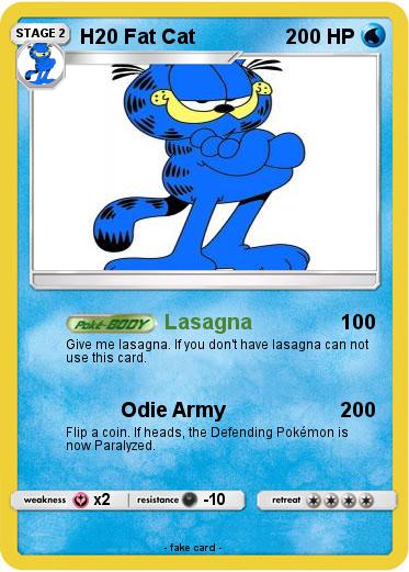 Pokemon H20 Fat Cat