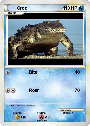 Pokemon Croc