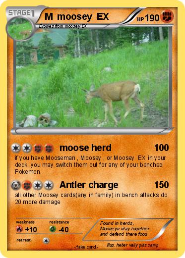 Pokemon M  moosey  EX
