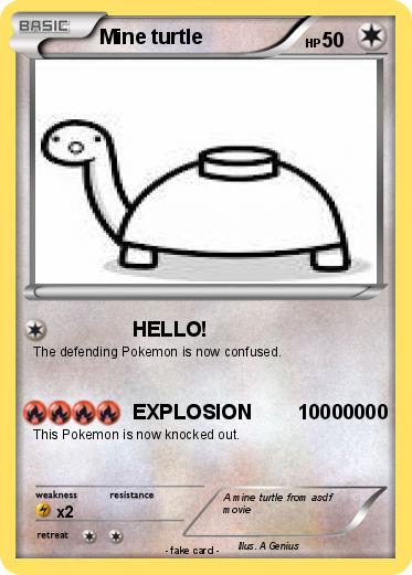 Pokemon Mine turtle