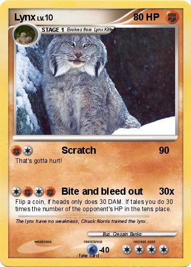 Pokemon Lynx